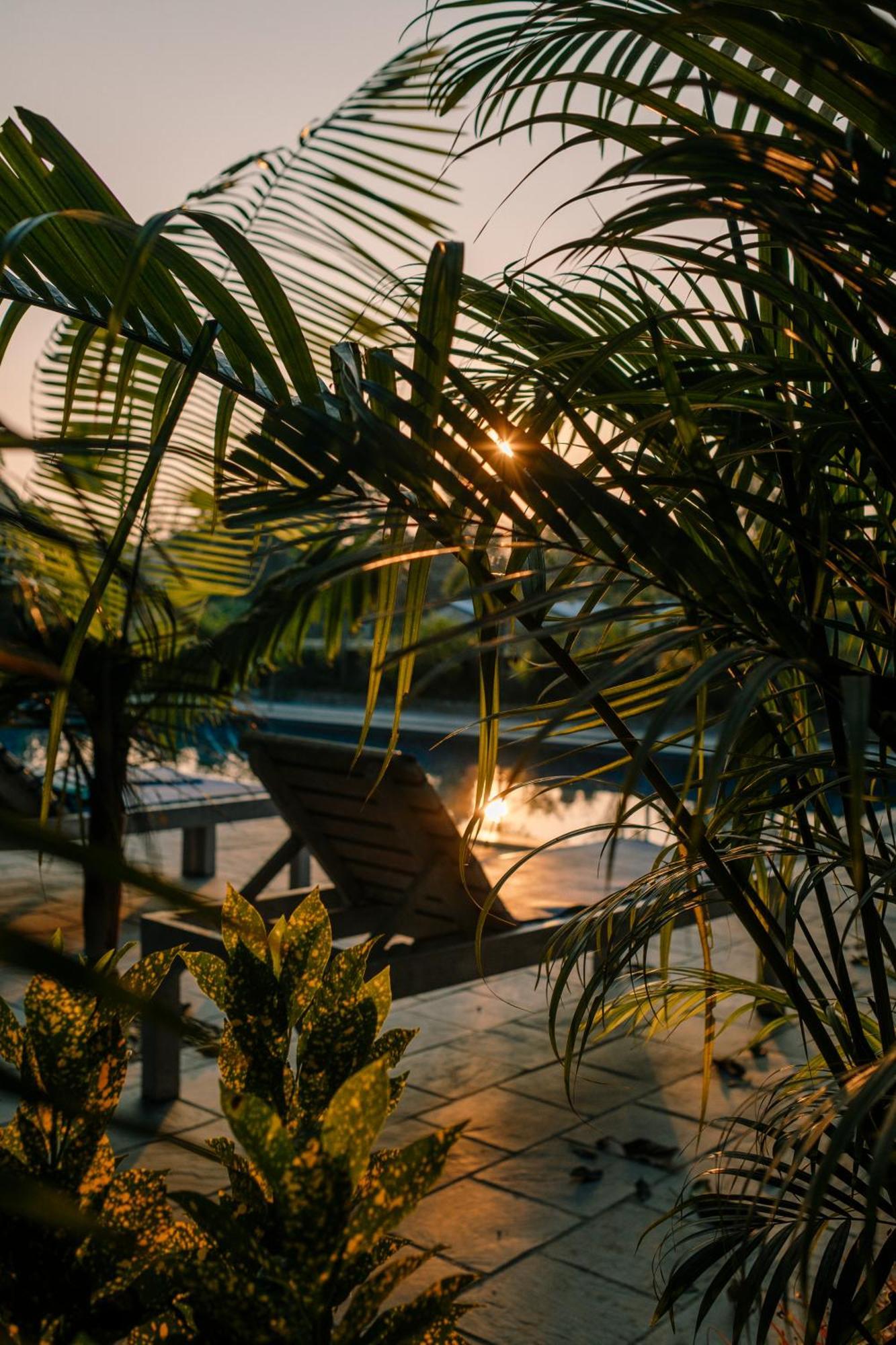 Hotel Parkside & Swimming Pool-Between Greenery And Azure ,Your Perfect Retreat Chitwan Exterior photo